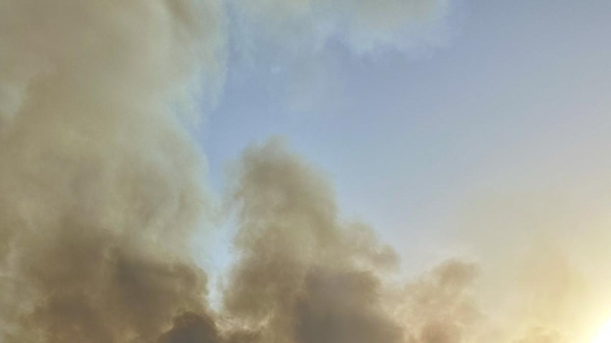El viento complica las labores de extinción del incendio forestal en Navalmoralejo (Toledo), en nivel 2