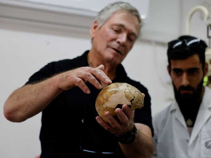 Revelación sobre la evolución humana: un cráneo de hace 140 mil años sería la evidencia más antigua del mestizaje de neandertales y sapiens