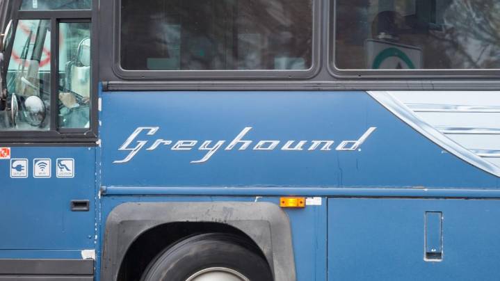 Asheville intercity bus routes resumes, connecting rural areas to rest of state