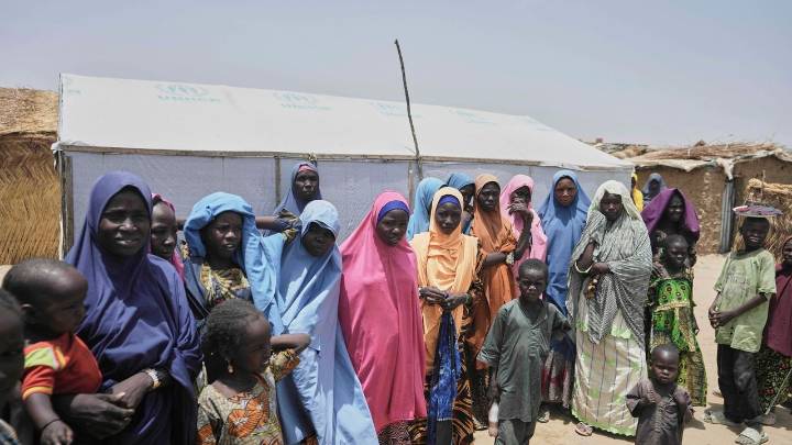 Nigeria's military says its airstrikes killed 35 Islamic militants in Borno state