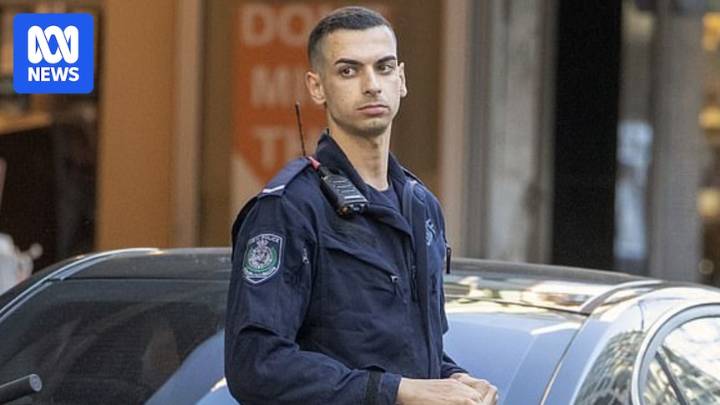 Beau Lamarre-Condon pleads not guilty to murdering Sydney couple Jesse Baird and Luke Davies
