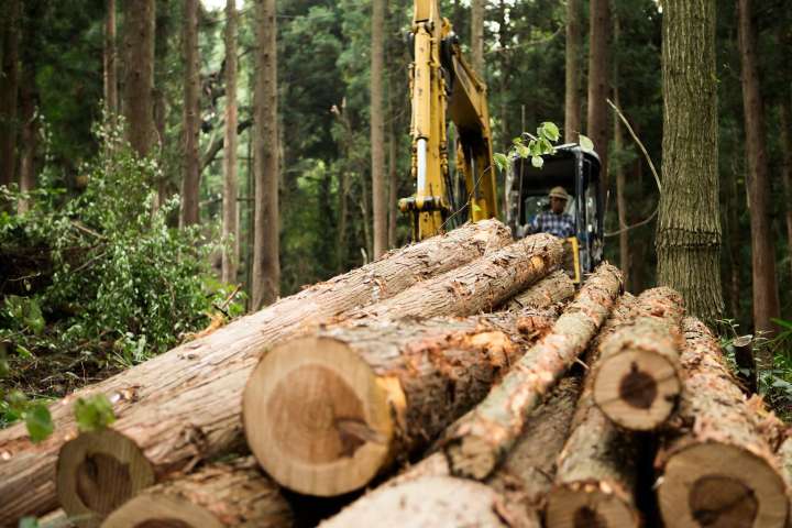 Weyerhaeuser Company And Lumber Prices (NYSE:WY)