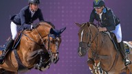 Who is the best showjumping horse in the world right now?