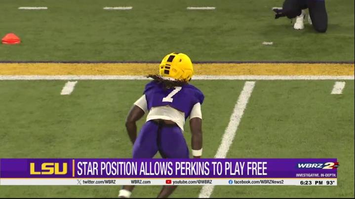 LSU linebacker Harold Perkins feeling at home in "star" role