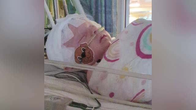 Rare tick-borne virus suspected in Massachusetts newborn, mom says