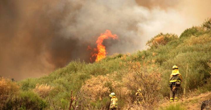 La Junta denuncia que "alguien ha prendido por detrás del operativo" que trabaja en la extinción del incendio de Fasgar (León)