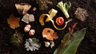 10 everyday items you didn’t know you could compost