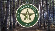 Hunters encouraged to practice wildfire safety during hunting season