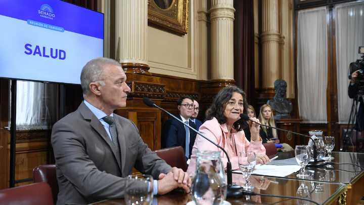 El Senado dictaminó la emergencia pediátrica