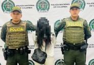 Mujer capturada en Pasto por presuntos delitos de hurto y concierto para delinquir