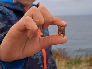 Boy found tooth that helped discover potential ancient burial site