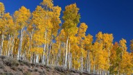 Un otoño prematuro en el mes de agosto