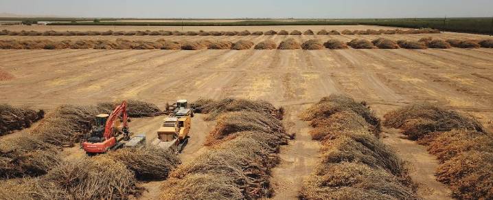 Earth's Continents Are Drying Out at an Unprecedented Rate, Study Warns