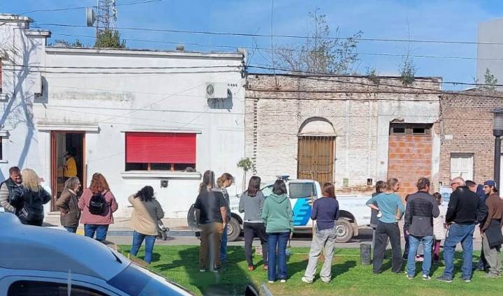 Comenzó el proyecto de forestación en canteros de Avenida Belgrano