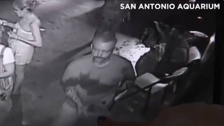 San Antonio man charged in 2018 live shark theft now linked to string of other crimes