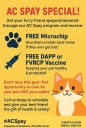 Corinth-Alcorn Animal Shelter Offering Spay/Neuter Special With Free Microchip and Vaccine