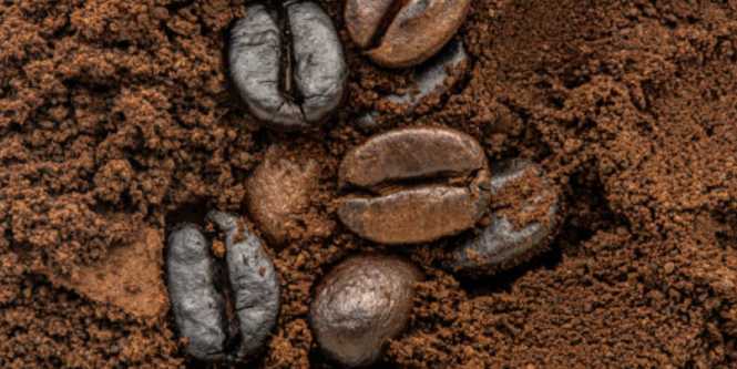 Las exportaciones de café de Brasil caen un 21,4% hasta julio