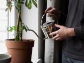 Secreto oculto de la jardinería: por qué se les pone papel de aluminio a las macetas