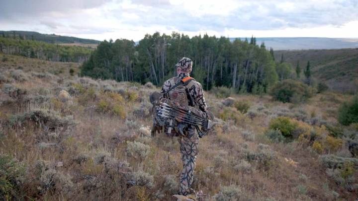No Matter Whether It’s Legal Or Not, Hunters Likely To Corner