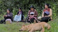 Cinta de Gabriela Domínguez retrata la identidad y la pertenencia a un territorio