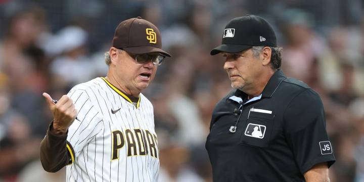 Mike Shildt ejected after replay reversal erases home run