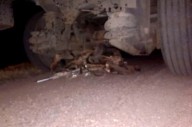 Profundo dolor a raíz de la muerte de dos motociclistas tras chocar con un camión