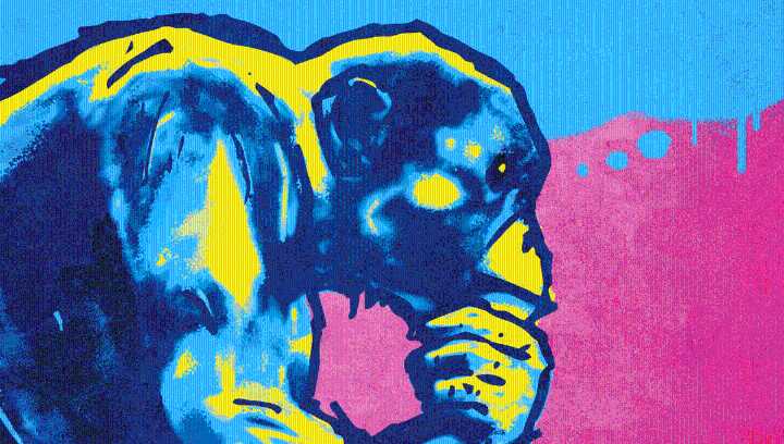 "Intelligence Is A Difficult Concept To Define": Can Animals Think?