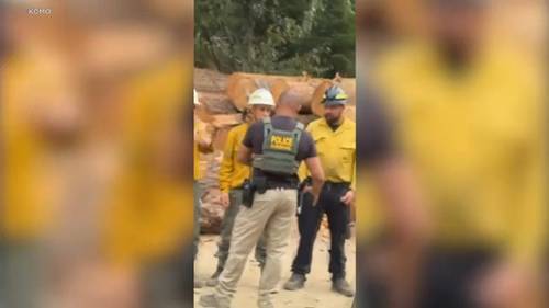 Border Patrol arrests 2 firefighters battling Bear Gulch Fire in Washington state