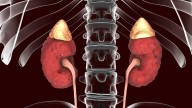 New Guideline Puts Some at the Front of the Line for GLP