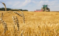 Crecimiento y desafíos: el futuro del agro en Argentina