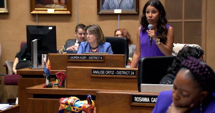 'I'm getting death threats': Arizona Sen. Analise Ortiz under fire for ICE posts