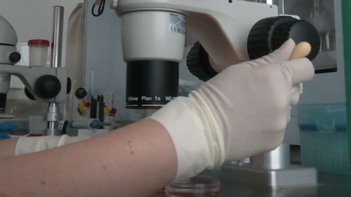 Deficiencias en Trabajo del Servicio Forense en Reynosa Complica Identificación de Cuerpos