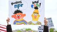 Iowans in Congress decide the real threat is Big Bird