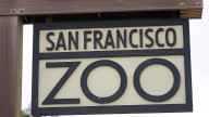 Report finds San Francisco Zoo ‘extremely outdated’, unsafe