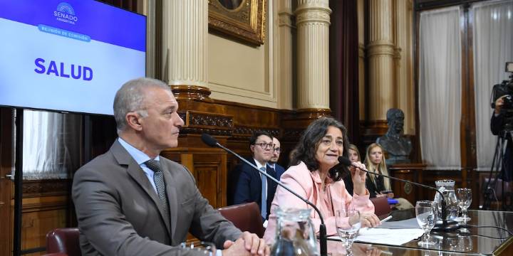 Senado: la oposición dictaminó la declaración de la emergencia pediátrica y presiona para ir al recinto