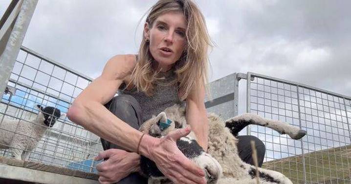 Our Yorkshire Farm's Amanda Owen to embark on new venture during TV break