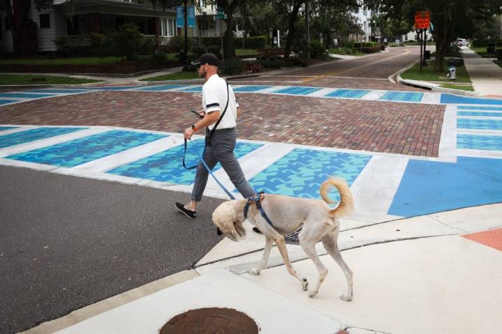 Pictures: Orlando road art being removed by state