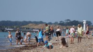 Temperatures to hit 34C as heat alerts issued for fourth summer heatwave