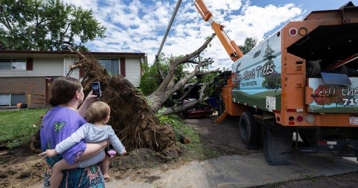 Storm damage seen across El Paso County this week