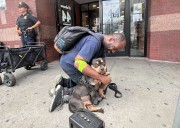 Dog stolen on NYC subway reunited with overjoyed owner