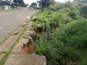 Colapso vial en Los Aceites: calle Las Flores se hunde por...