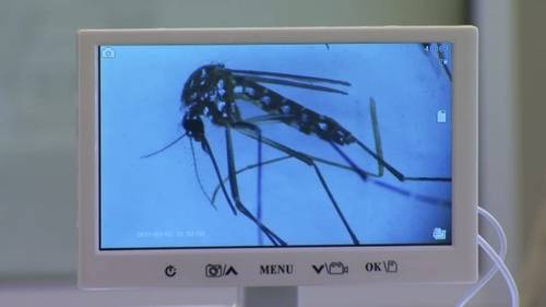Human case of West Nile virus confirmed in Fresno County, officials say