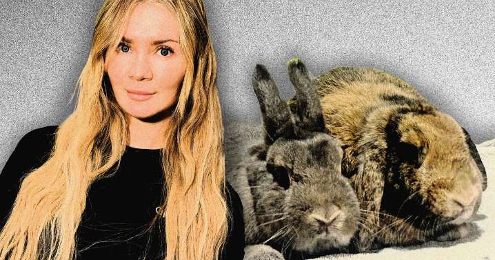 Anna Delvey and the Case of the 3 Missing Rabbits