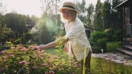 9 Genius Ways To Use Apple Cider Vinegar To Transform Your Garden