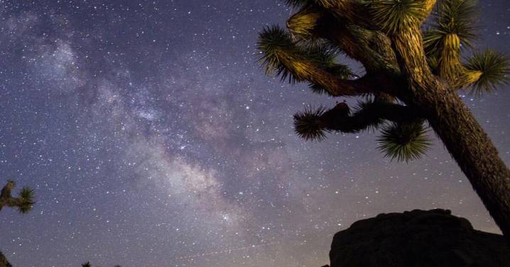 Contributor: The true cost of abandoning science