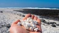 Una turista daña el patrimonio natural de Canarias y la denuncia de una influencer de viajes se viraliza: “No entiendo qué tiene tanta gracia