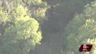 Driver injured when tree falls on SUV on Mass. roadway