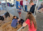Dutchess County Fair wraps up today