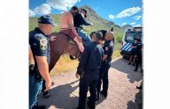 Rescata Policía Montada a atrapado en el Cerro Grande