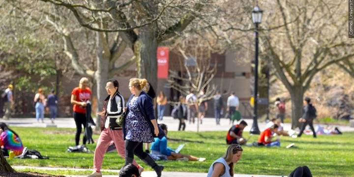 New legislation requires New York colleges to have discrimination coordinators on campus